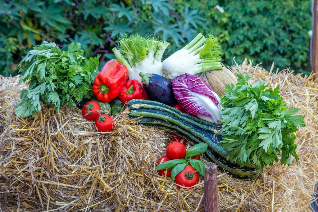 Agriturismo 4 Ricci Βίλα Cerveteri Εξωτερικό φωτογραφία