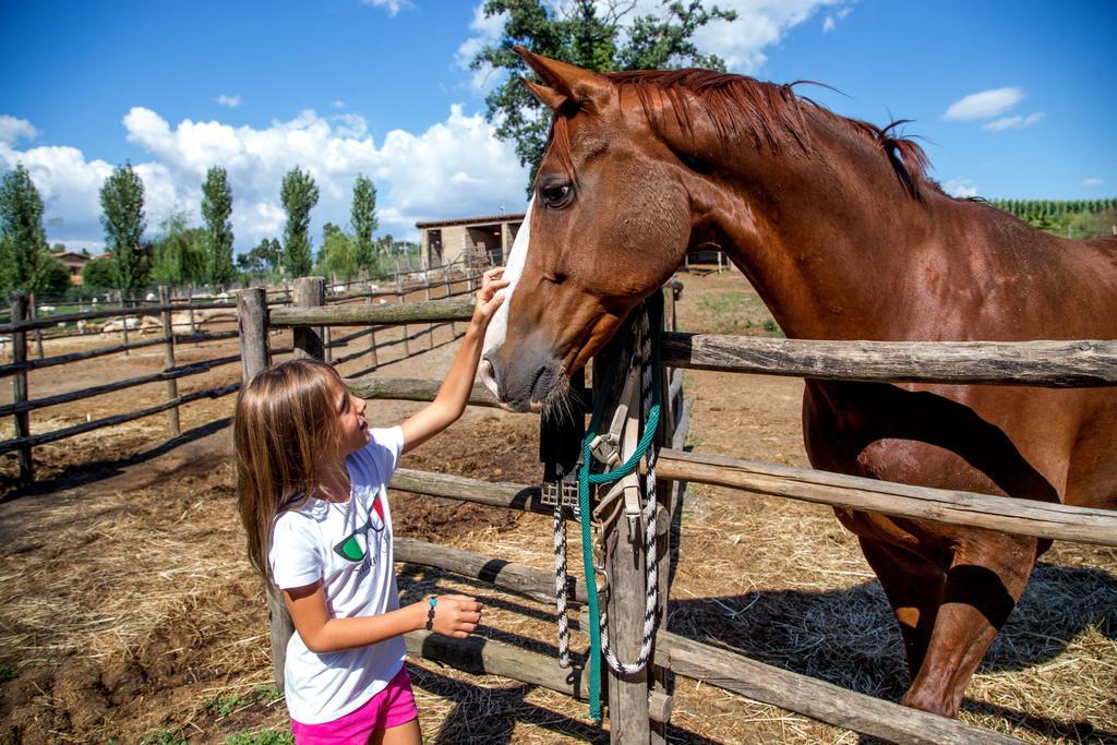 Agriturismo 4 Ricci Βίλα Cerveteri Εξωτερικό φωτογραφία